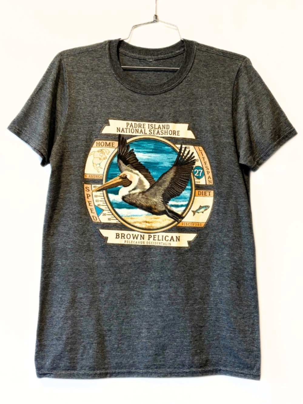 Padre Island National Seashore Brown Pelican Graphic T-Shirt Size M